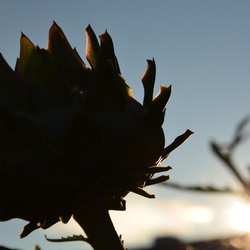 London/River Lea/DSC_0264.JPG